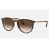 RB4274
Lenses: Brown Gradient  +  Frame: Tortoise
