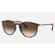 RB4274
Lenses: Brown Gradient  +  Frame: Tortoise