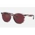 RB4306
Lenses: Dark Violet Classic  +  Frame: Striped Bordeaux Havana