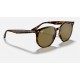 RB4306
Lenses: Dark Brown Classic B-15  +  Frame: Tortoise