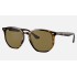 RB4306
Lenses: Dark Brown Classic B-15  +  Frame: Tortoise