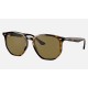 RB4306
Lenses: Dark Brown Classic B-15  +  Frame: Tortoise
