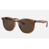 RB4306
Lenses: Dark Brown Classic  +  Frame: Striped Red Havana