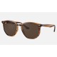 RB4306
Lenses: Dark Brown Classic  +  Frame: Striped Red Havana