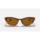 Nina
Lenses: Brown Classic  +  Frame: Tortoise