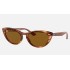 Nina
Lenses: Brown Classic  +  Frame: Tortoise