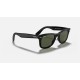WAYFARER EASE
Lenses: Green Classic  +  Frame: Black