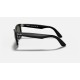 WAYFARER EASE
Lenses: Green Classic  +  Frame: Black
