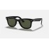 WAYFARER EASE
Lenses: Green Classic  +  Frame: Black