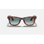 WAYFARER EASE
Lenses: Blue Gradient  +  Frame: Tortoise