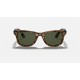 WAYFARER EASE
Lenses: Green Classic  +  Frame: Tortoise