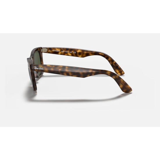 WAYFARER EASE
Lenses: Green Classic  +  Frame: Tortoise