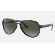 VAGABOND
Lenses: Grey Gradient  +  Frame: Grey Transparent Red Grey