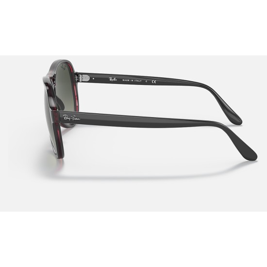 VAGABOND
Lenses: Grey Gradient  +  Frame: Grey Transparent Red Grey