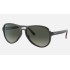 VAGABOND
Lenses: Grey Gradient  +  Frame: Grey Transparent Red Grey