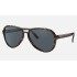 Vagabond
Lenses: Blue/Grey Classic  +  Frame: Tortoise