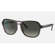 STATE SIDE
Lenses: Grey Gradient  +  Frame: Grey Transparent Red Grey