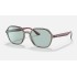 RB4361 EVOLVE
Lenses: Green Photochromic Classic  +  Frame: Bordeaux