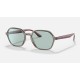 RB4361 EVOLVE
Lenses: Green Photochromic Classic  +  Frame: Bordeaux