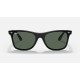 BLAZE WAYFARER
Lenses: Green Classic  +  Frame: Black