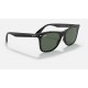 BLAZE WAYFARER
Lenses: Green Classic  +  Frame: Black