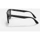 BLAZE WAYFARER
Lenses: Green Classic  +  Frame: Black