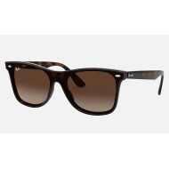 BLAZE WAYFARERLenses: Brown Gradient  +  Frame: Tortoise