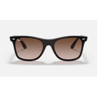 BLAZE WAYFARERLenses: Brown Gradient  +  Frame: Tortoise