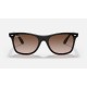 BLAZE WAYFARERLenses: Brown Gradient  +  Frame: Tortoise