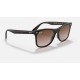 BLAZE WAYFARERLenses: Brown Gradient  +  Frame: Tortoise