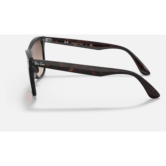 BLAZE WAYFARERLenses: Brown Gradient  +  Frame: Tortoise