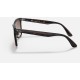 BLAZE WAYFARERLenses: Brown Gradient  +  Frame: Tortoise