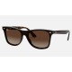 BLAZE WAYFARERLenses: Brown Gradient  +  Frame: Tortoise