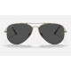 AVIATOR TITANIUMLenses: Grey Classic  +  Frame: Antique Gold
