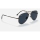 AVIATOR TITANIUMLenses: Blue Classic  +  Frame: Pewter