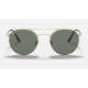 ROUND DOUBLE BRIDGE TITANIUM
Lenses: Green Classic  +  Frame: Gold