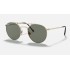 ROUND DOUBLE BRIDGE TITANIUM
Lenses: Green Classic  +  Frame: Gold
