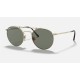 ROUND DOUBLE BRIDGE TITANIUM
Lenses: Green Classic  +  Frame: Gold