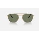 FRANK II TITANIUM
Lenses: Green Classic  +  Frame: Gold