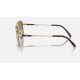 FRANK II TITANIUM
Lenses: Green Classic  +  Frame: Gold