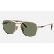 FRANK II TITANIUM
Lenses: Green Classic  +  Frame: Gold