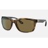 RB8356M SCUDERIA FERRARI COLLECTION
Lenses: Dark Brown Classic B-15  +  Frame: Tortoise
