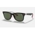 RB8395M SCUDERIA FERRARI COLLECTIONLenses: Green Classic G-15  +  Frame: Black