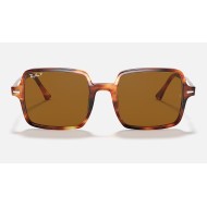 Square II
Lenses: Polarized Brown Classic  +  Frame: Tortoise