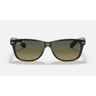 RBP2132 NEW WAYFARER @CollectionLenses: Polarized Blue/Green Gradient  +  Frame: Black