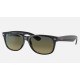 RBP2132 NEW WAYFARER @CollectionLenses: Polarized Blue/Green Gradient  +  Frame: Black