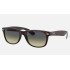 NEW WAYFARER CLASSIC
Lenses: Polarized Blue/Green Gradient  +  Frame: Tortoise