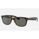 NEW WAYFARER CLASSICLenses: Polarized Green Classic  +  Frame: Tortoise