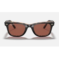 ORIGINAL WAYFARER @Collection
Lenses: Polarized Purple Classic  +  Frame: Black