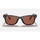 ORIGINAL WAYFARER @Collection
Lenses: Polarized Purple Classic  +  Frame: Black